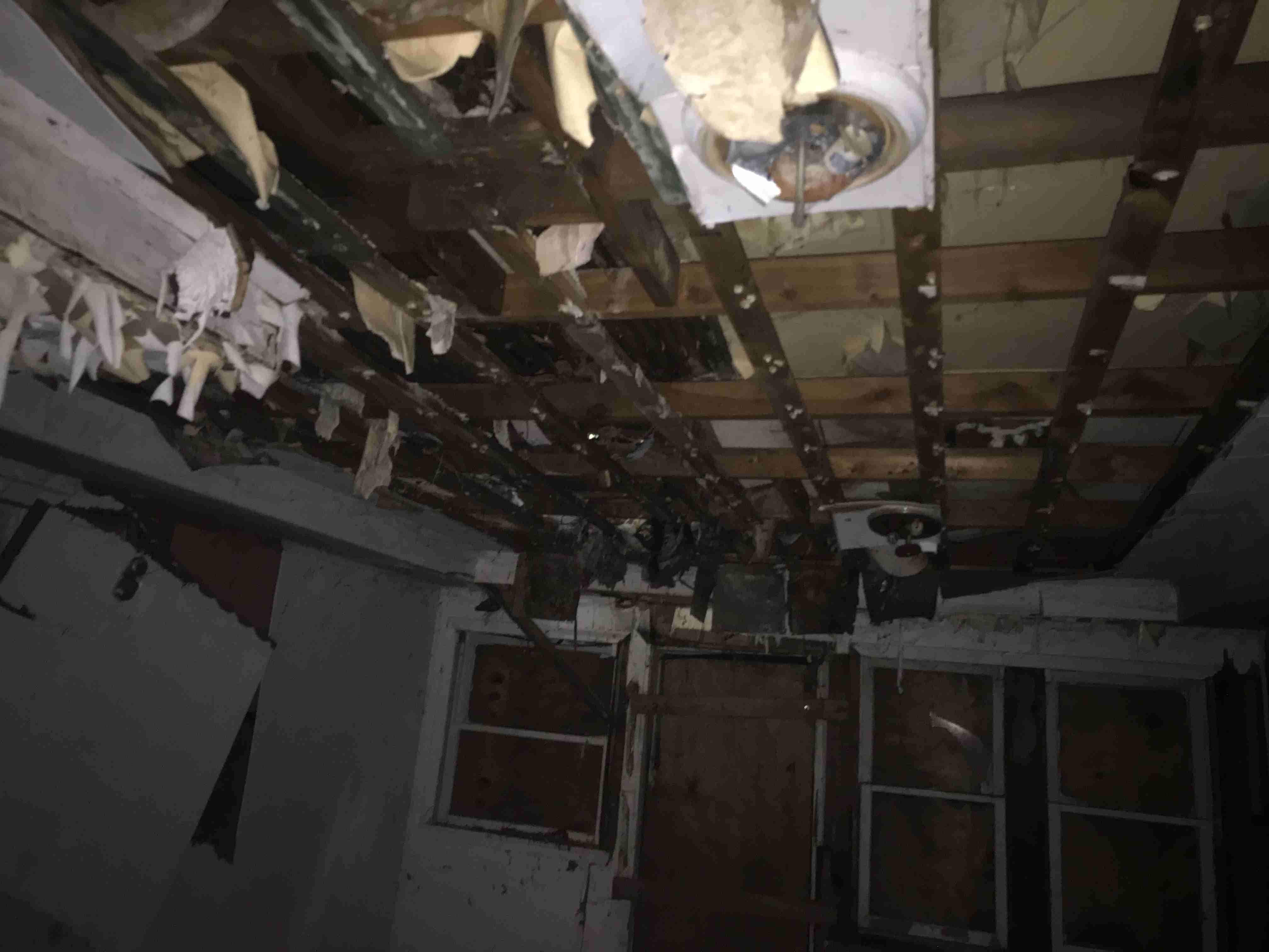 Photo Aug 20, 7 12 05 PM.jpg